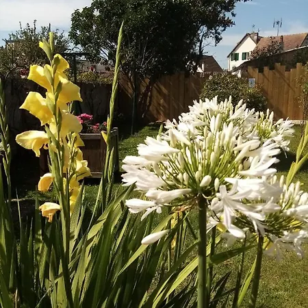 Sucree Et Douceur Cabourg