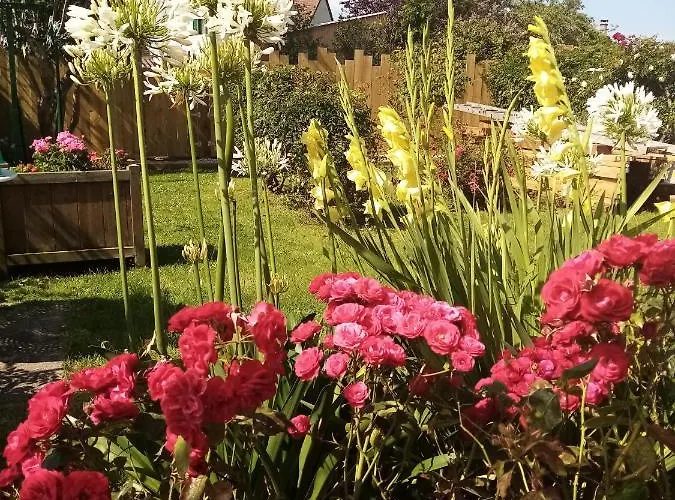 Bed & Breakfast Sucree Et Douceur