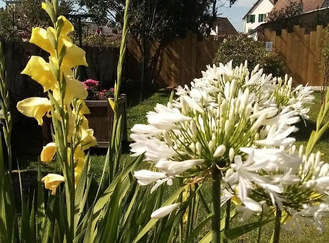 Sucree Et Douceur Cabourg